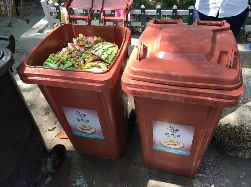 生活垃圾处理要收费了!上海只有20%市民能做到分类 困难究竟在哪?