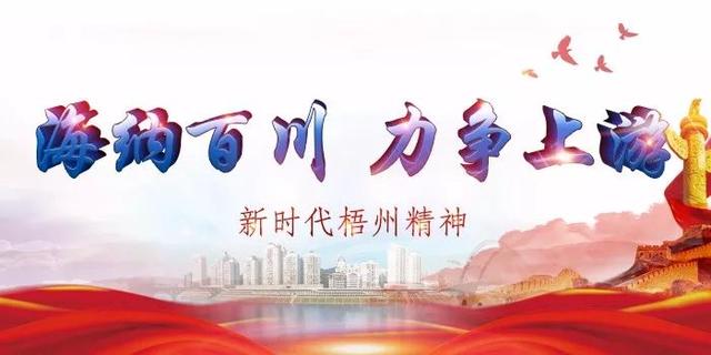 梧州市生活垃圾焚烧发电厂计划明年完工，日处理垃圾可达2000吨