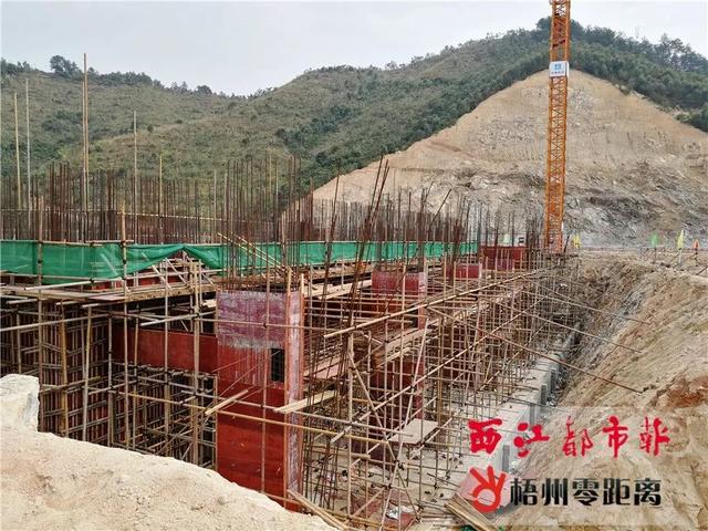 梧州市生活垃圾焚烧发电厂计划明年完工，日处理垃圾可达2000吨