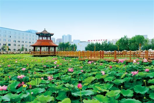 1560476010583219.png 微信截图_20190614093149.png
