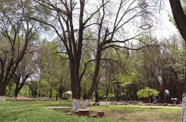 微信截图_20190711101621.png